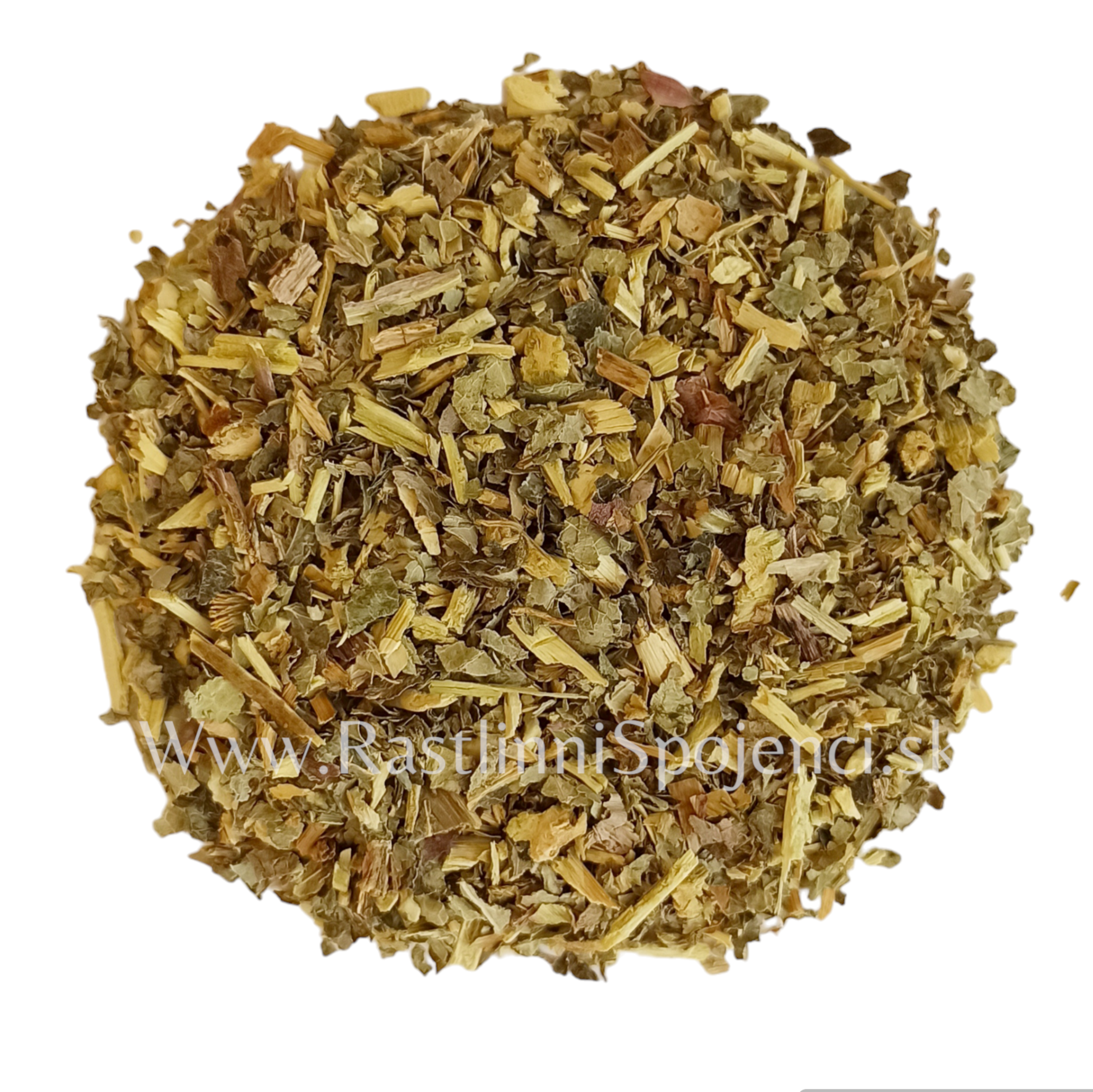 Šalat jedovatý (Lactuca virosa)